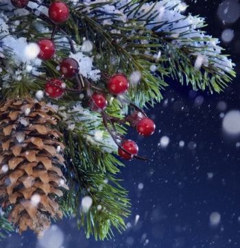 Щасливого Нового року 2021 Щасливого Нового року 2021